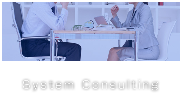 System Consulting