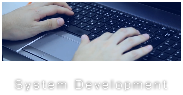 System Development