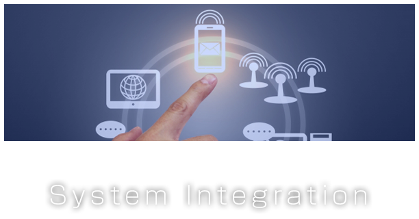 System Integration